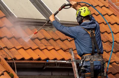 Démoussage et hydrofuge de toiture à Hauban